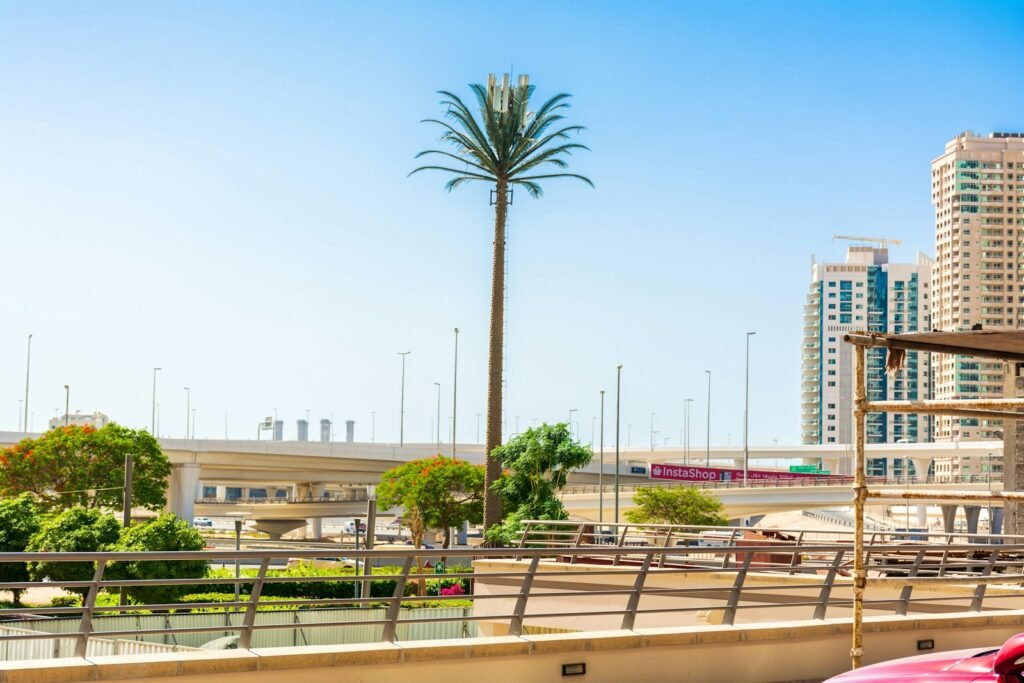 green palm tree near white concrete building during daytime