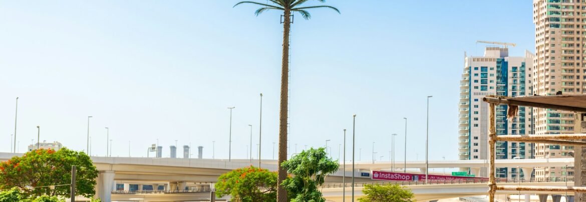 green palm tree near white concrete building during daytime