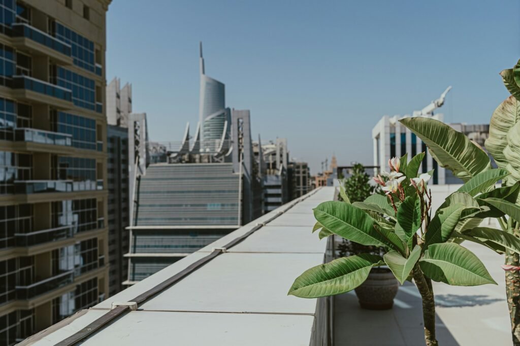 A potted plant on the roof of a building