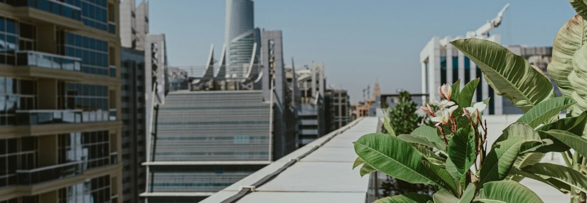 A potted plant on the roof of a building