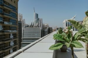 A potted plant on the roof of a building