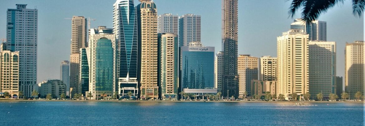 a person standing on a bridge over water with a city in the background