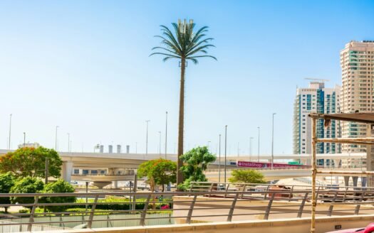 green palm tree near white concrete building during daytime