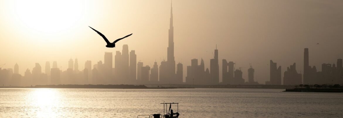 silhouette of man riding on boat on sea during daytime