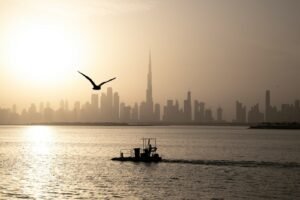 silhouette of man riding on boat on sea during daytime