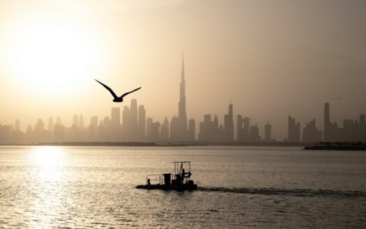 silhouette of man riding on boat on sea during daytime
