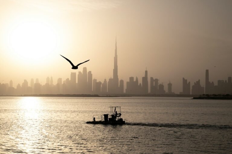 silhouette of man riding on boat on sea during daytime
