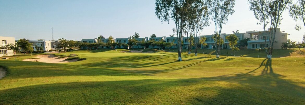 a man is playing golf on a sunny day