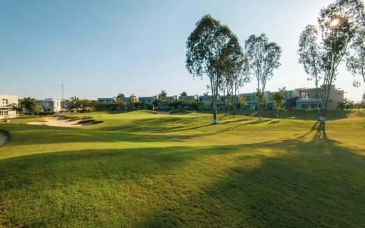 a man is playing golf on a sunny day