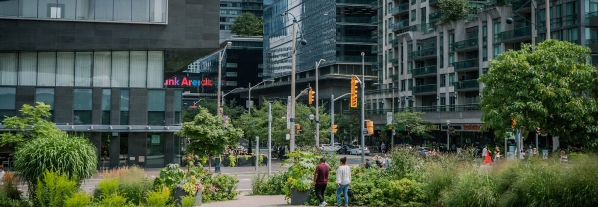 A couple of people walking around a lush green park