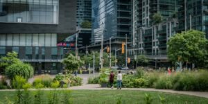 A couple of people walking around a lush green park