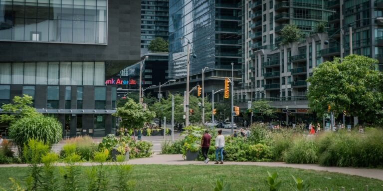 A couple of people walking around a lush green park