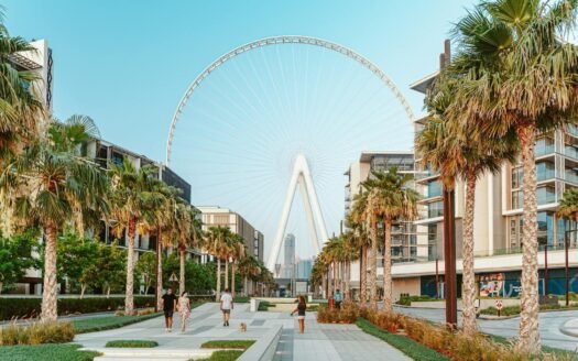 Explore the vibrant cityscape with Ain Dubai and palm-lined paths in this stunning urban view.