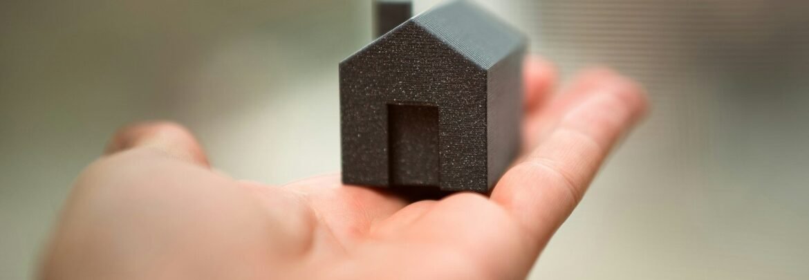A person holding a small house in their hand